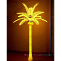 Coconut Palm Light